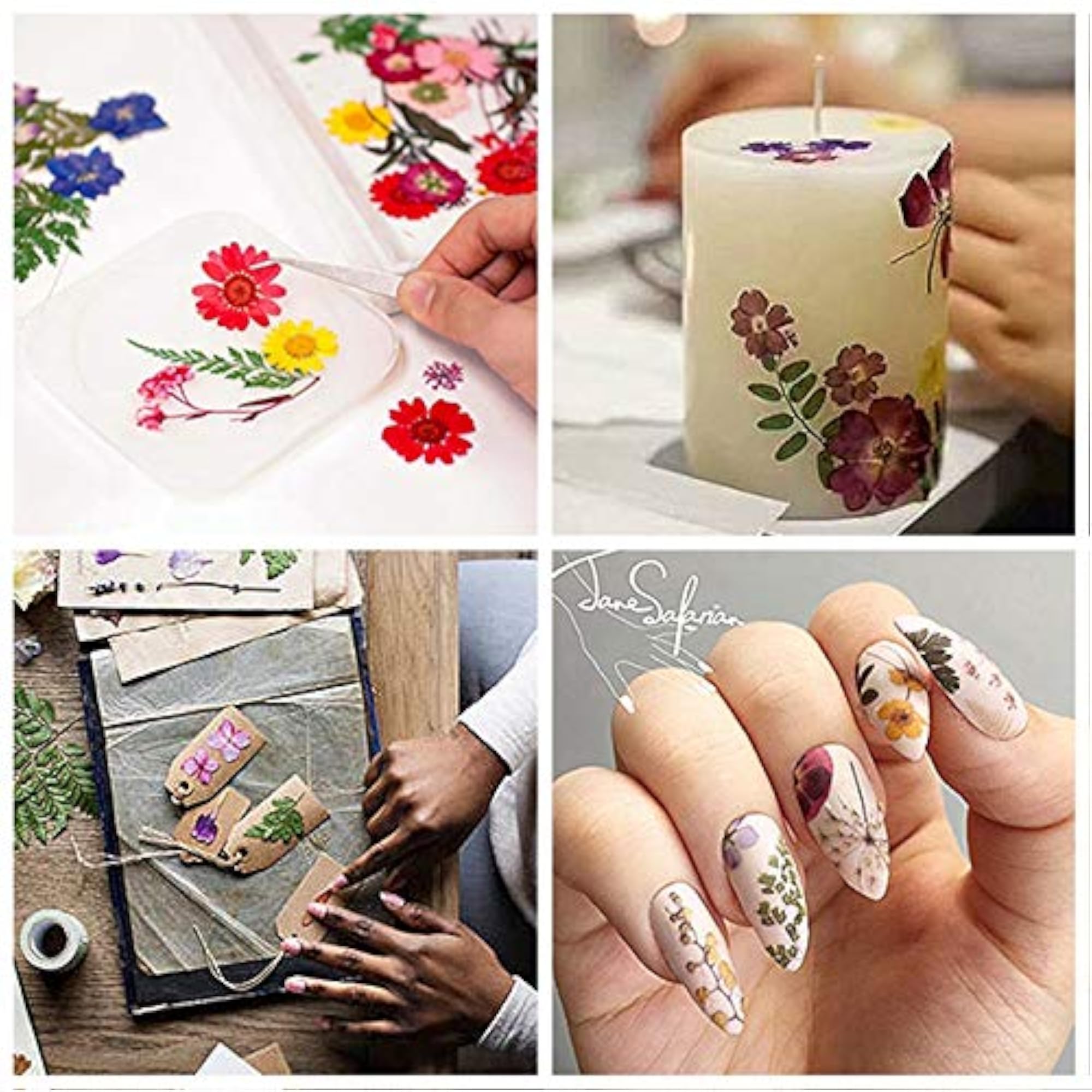 DIY Dried Flowers for Creative Crafts and Bookmarks