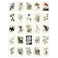 Collage Kit Collection: This kit comes with 50 prints, each measuring 4.1 x 5.8 inches, 10.5 x 14.8 cm and is professionally produced on thick, fade-resistant cardstock. Artistic Wall Transformation: Take your plain wall from drab to fab with this ch...