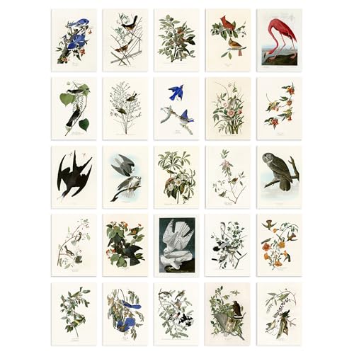 Artery8 Set Pack of 50 John James Audubon Birds of America Illustrations Collage Kit Bedroom A6 14.8 x 10.5 cm (5.8 x 4.1)