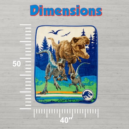 Image of Franco Jurassic World Dominion Rexy T-Rex Kids Bedding Super Soft Silk Touch Throw, 40 in x 50 in, (Official Licensed Product) (Pack of 3)