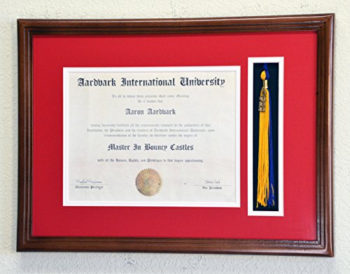 Graduation Diploma and Tassel Display Frame for 11 x 8.5 Certificate w/Custom Matting Colors (Custom Mat Colors: Need to Provide in Gift Box, Walnut)