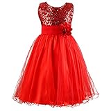Vestido de princesa para niñas, al ponerse este vestido, se convierte en una princesa verdadera.