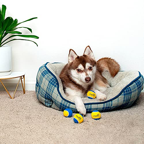 Midlee X-Small Dog Tennis Balls 1.5" Pack Of 12 (Blue/Yellow, 1.5 Inch) #TOP1