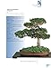 The Bonsai Handbook (IMM Lifestyle Books) The Science and Art of Bonsai from Anatomy to Aesthetics, and How to Grow Your Own, including Pinching, Pruning, Wiring, Holiday Care, and a Photo Gallery