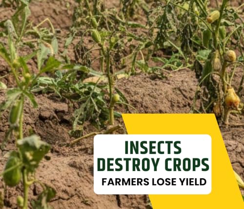 Image of Chipku Bahubali Solar Insect Light Trap for Farming | UV 365nm & Yellow LED | Chemical-Free Pest Control | Auto ON /Off | 2.5 Acre Coverage