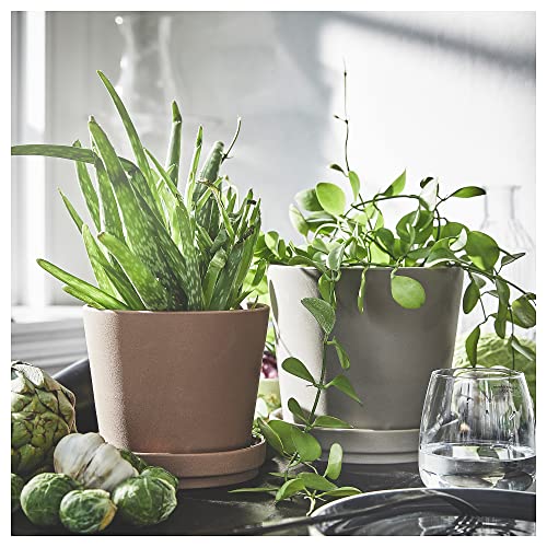 Pot de fleurs KLARBÄR avec soucoupe pour éviter les fuites d'eau de vos plantes