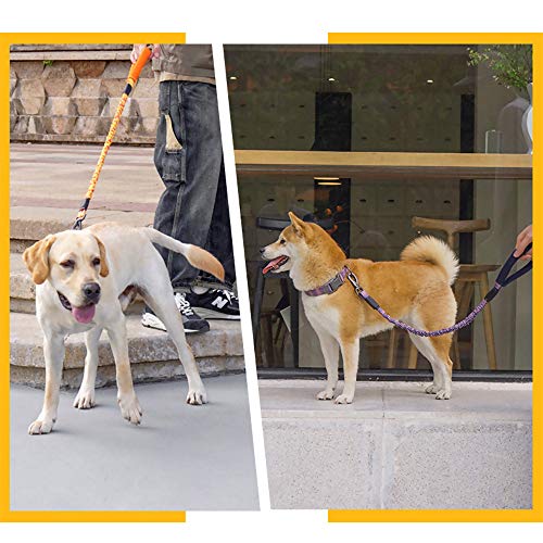 Nishore Trela de cão Trela de treinamento de cão com alça acolchoada confortável para cães médios gr