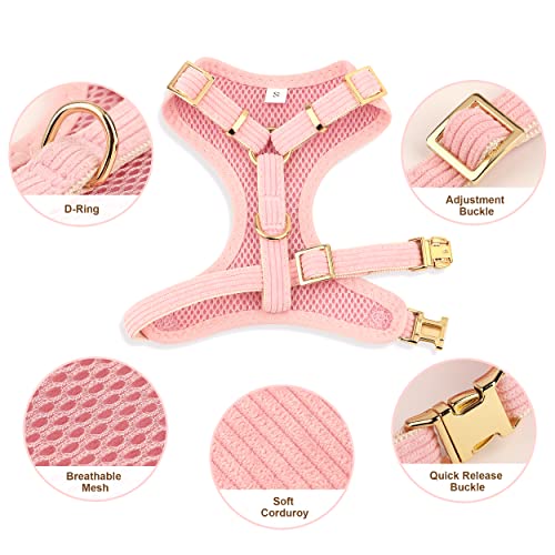 Didog Cute Small Dog Collar Harness & Leash Set, Adjustable Dog Collars And Leashes With Bowtie, Breathable Soft Mesh Padded Dog Vest For Puppies Small Dogs & Cats Walking(Pink, M) #TOP1