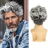 Baruisi Short Curly Mens Grey Wig Fluffy Synthetic Cosplay Halloween Hair Wig for Men,Mixed Grey