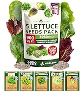 Small manufacture image 8