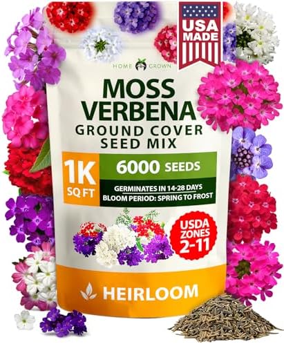 HOME GROWN Verbena Moss Seeds - 6000+ Perennial Flower Seeds for Ground Cover - Heat-Tolerant Plant Seed for Outdoor Gardening, Walkways & Erosion Control - Attracts Pollinators (Verbena Tenuisecta)