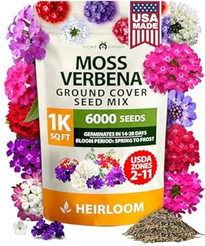 best flowers for direct sun and heat