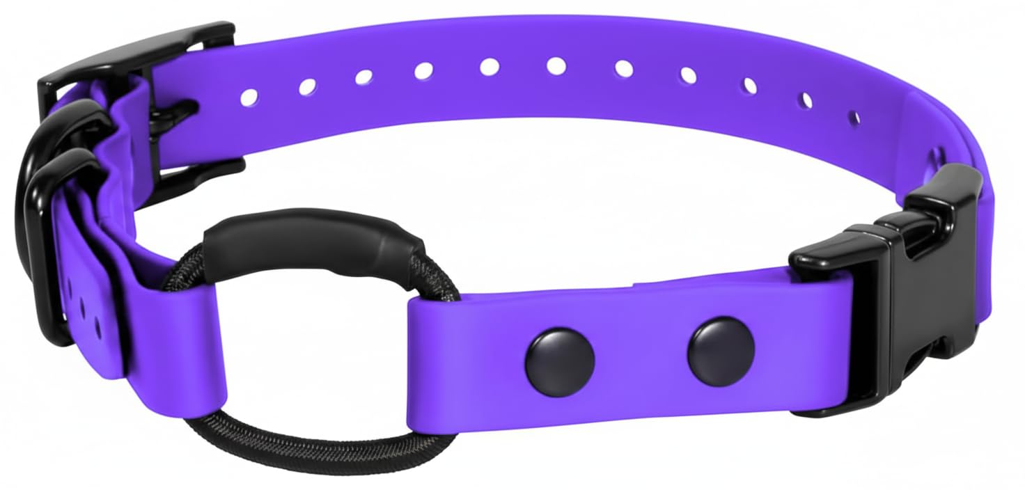 3/4" e-Collar Bungee Collar Strap, Waterproof (Purple, 3/4")