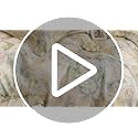 ECOCOTT Bedding 3-Piece Duvet Cover King Size – Silky Soft 100% Lyocell, Cooling & Breathable for Hot Sleepers, Painter Palette Floral, Moisture-Wicking Luxury