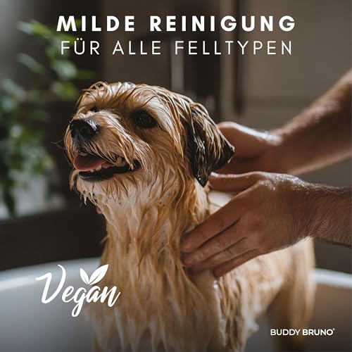 Testnote: Sehr gut - Hundeshampoo sensitiv mit Sanddorn - Fellpflege gegen Juckreiz & Geruch - 100% vegan & natürlich - für glänzendes Fell & Vitale Haut - 250ml