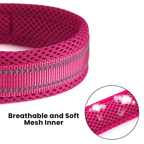 PETTOM Hundeleine Reflektierend Leine aus Nylon mit Weich Gepolsterter Griff und Metallhaken für Training, Robuste Leine Hund für Kleine Mittel Große Hunde (Rose 200 cm)