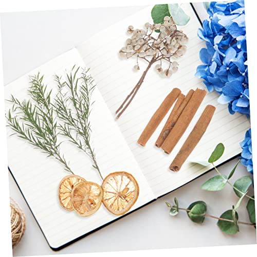 Kit de manualidades flores secas prensadas para decoración miniatura 3