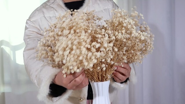 Ramo de 100 flores secas naturales de Gypsophila miniatura 7