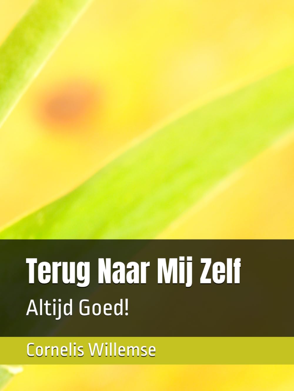 Terug Naar Mij Zelf:: Altijd Goed!
