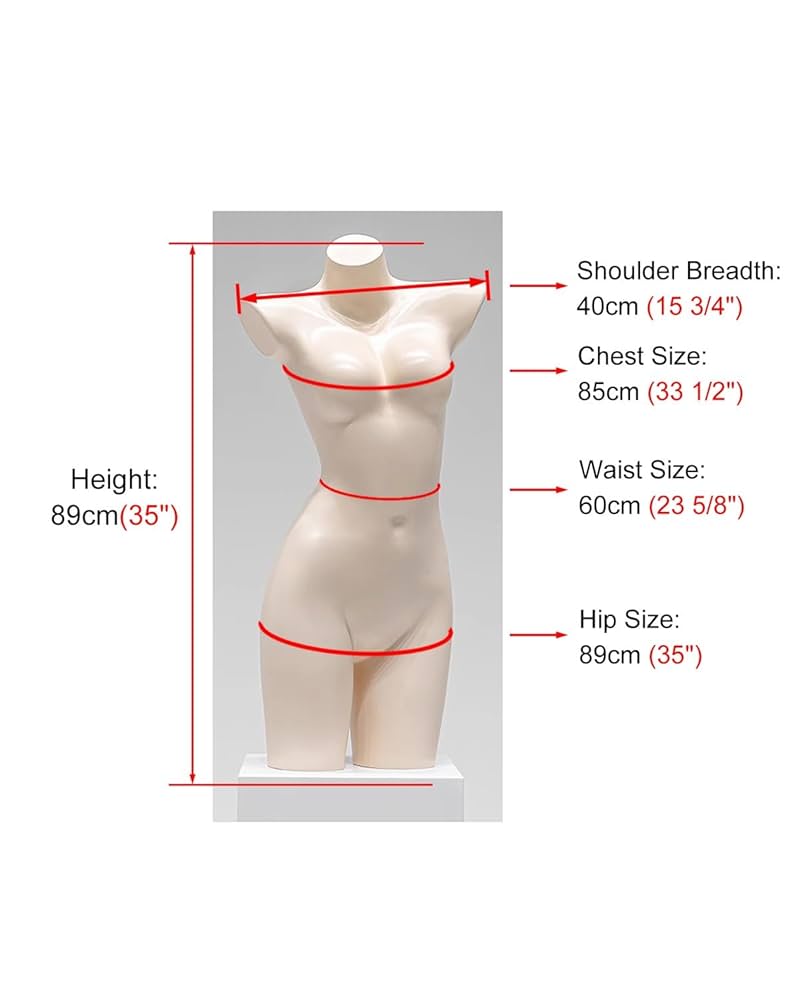 上半身等身大マネキン カスタムトルソー オブジェディスプレイ アート 水着 Amazon.co.jp: メイクアップ ドレス フォーム マネキン トルソー
