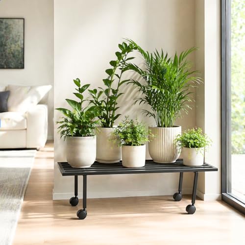 Image of ecofynd Scot 35 Inch Plant Stand with Wheels for Outdoor Balcony, Flower Pot Stand for Indoor Plants, Metal Plant Stand for Living Room, Home decor, Indoor & Outdoor plants, 1 Tier (2 Pack, PS051-BLK)