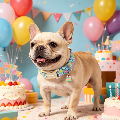 Image of ARING PET Happy Birthday Dog Collar, Cute Blue Cake Doggy Collars for Puppy Small Medium Large Boy Girl Dogs, for Dog Birthday Parties Photo Shoots Celebration Gifts-XL