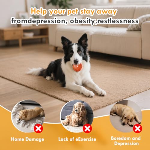 Gerbala hundespielzeug Ball, Selbstrollender Hund, Interaktives Hundespielzeug Mit USB-Ladekabel, Interaktives Hunde Ball Spielzeug für langeweile drinnen draußen (B)