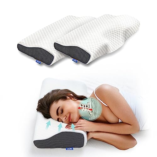 Derila Memory Foam Kissen Kopfkissen Nackenkissen (2er Pack) ergonomisches Seitenschläferkissen für Seiten, Rücken & Bauchschläfer. Antischnarch-Kissen, erfrischt aufwachen ohne Nackenschmerzen