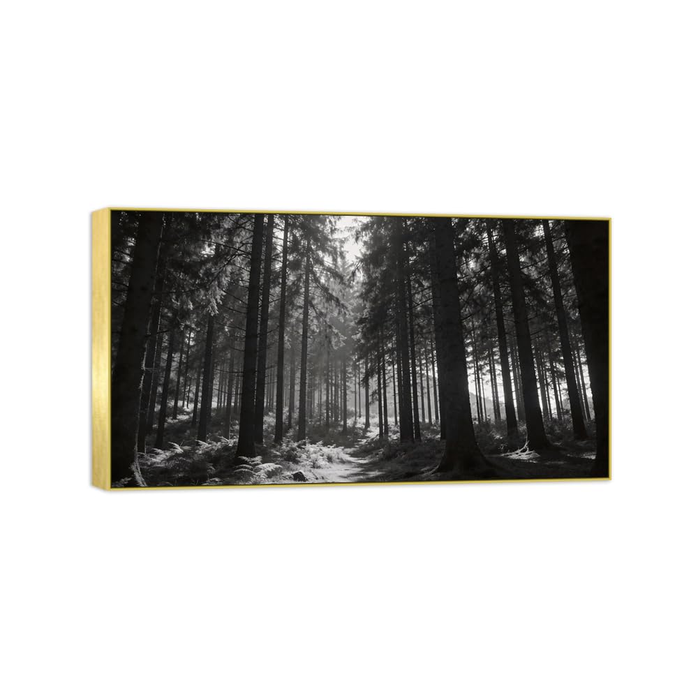 Forest Tree 5 Black White Landscape Canvas Picture 60x108cm Gold Frame