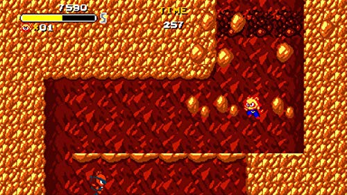 Tanuki's Justice (PS4)