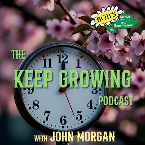 3.7.26 - Spring Forward