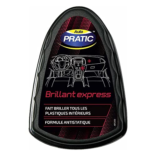 AUTO PRATIC Shiny Plastic Sponge, Black, Regular