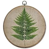 FUGWN Vintage Fern Botanical Round Wall Art Decor Framed, Retro Green Fern Plant Canvas Artwork Prints, Vintage Botanical Wall Hanging Decorations for Home Bedroom Living Room, 10x10 Inch