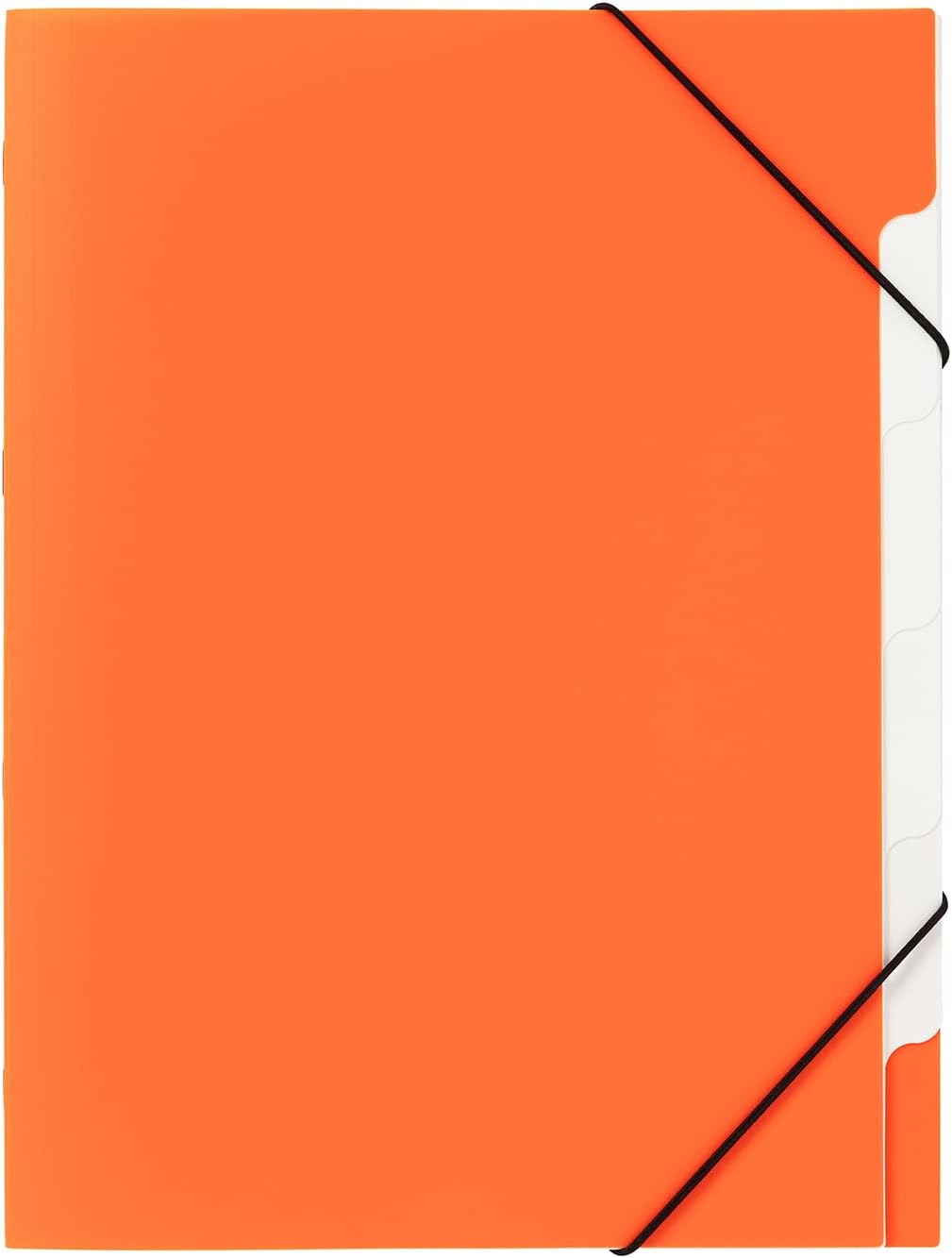 PAGNA Coool Trend 41812-00 Index Folder Set Polypropylene 5 Compartments Assorted with 5 Pieces