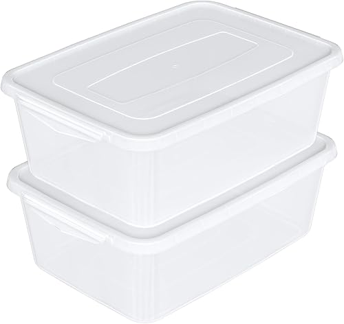 MORPHEUS MAX Afromy - Caja de plástico con cierre de 16 litros, 2 paquetes de contenedores de almacenamiento con tapa, transparente