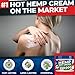 Hemp Cream for Pain Relief - 250,000 Strength Hemp Oil - Made in USA - Natural Treatment for Joint, Muscle, Sciatica & Back Pain Relief - Hot Cream with Menthol & Eucalyptus