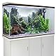 MIRRORANG 61x41cm Stein Aquarium Hintergrund Felsen Bild Fisch Tank Hintergrund Terrarium Hintergrund Dekoration