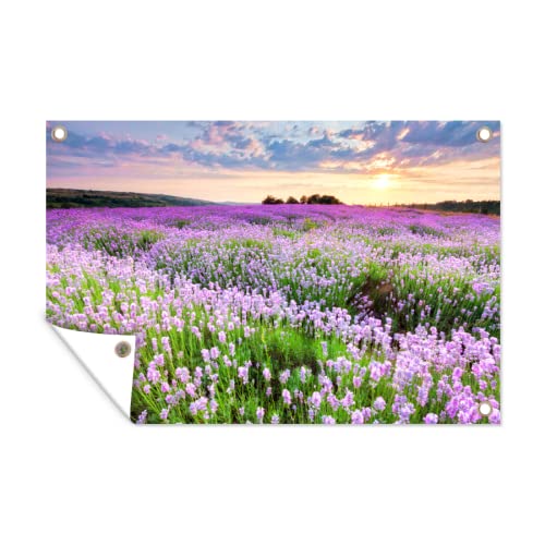 Tuinposter 80x120 cm Doorkijk - Hortensia - Bloemen | Leen Bakker