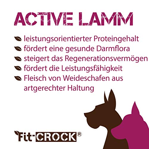 cdVet Fit-Crock Hundefutter trocken Active Lamm Mini 2 kg, getreidefrei