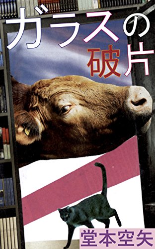 ガラスの破片 堂本空矢 小説 文芸 Kindleストア Amazon