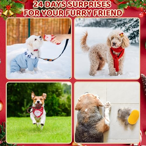 Motionchic Dog Advent Calendar 2024 thumb #6