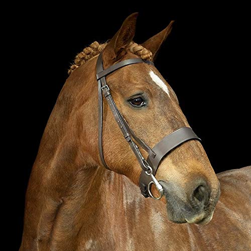 Gallop 2-Inch Hunter Bridle, Extra Full Size, Black