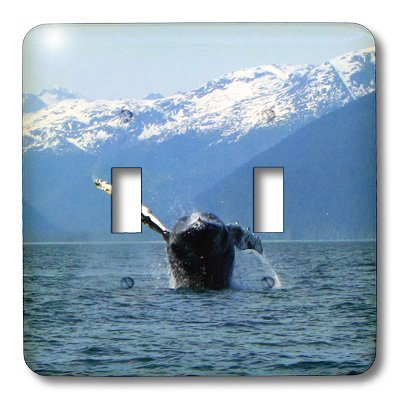 Interrupteur double à bascule lsp_21603_2 Humpback Whale 3dRose