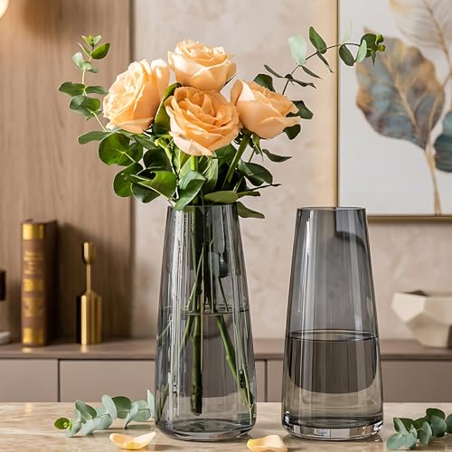 Image of TIED RIBBONS Set of 2 Glass Flower Vase Pot for Plants (Black, 22.8 cm X 6.3 cm X 7.6 cm) - Decorative Home Decor Living Room Water Plants Dining Table Decoration Bedroom Hall House Warming Gift