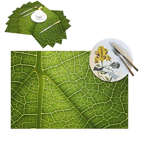 Sets de table pour table basse d'extérieur texture feuille - 2