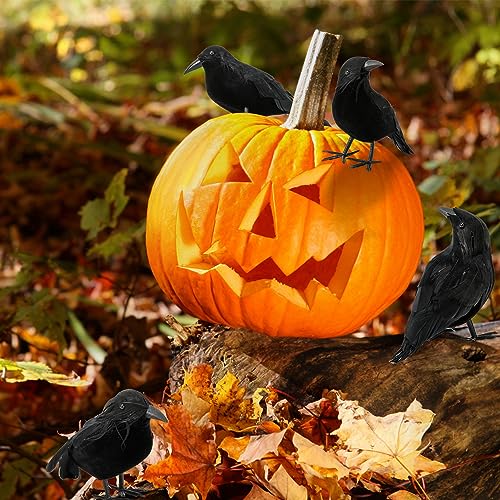 6 Pack Halloween Crow Decorations - Realistic Handmade Crow Black Feathered Crow, Halloween Crows and Ravens Decor, Scary Black Ravens Birds for Outdoors and Indoors Halloween Decor2