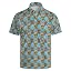 Hawaiian