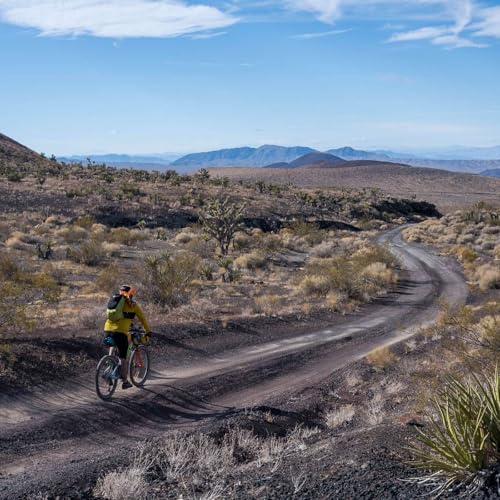 Leaving Flint to See America on a Schwinn Bicycle