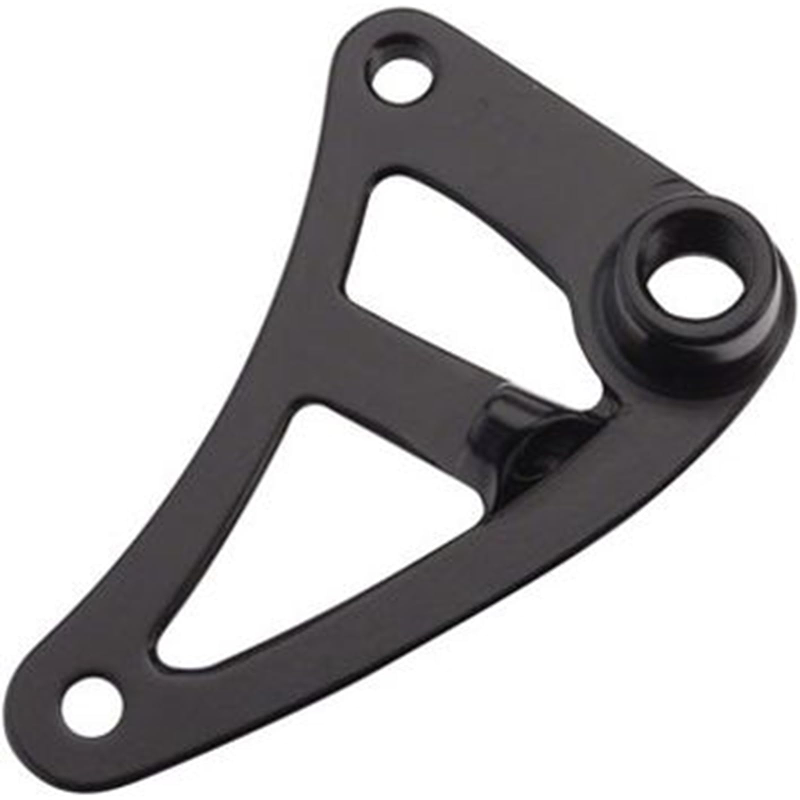 Salsa Alternator Ausfallende rechts Singlespeed DT Swiss RWS