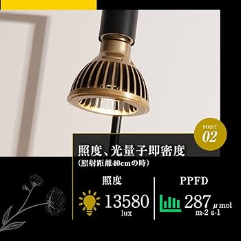 【白狐伝】発芽発根済み　超おすすめ！ 楽天市場】【匠技術◇限定クーポンで5,980円！】ドライヤー 大